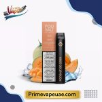 Pod Salt Go 2500 Puffs Cantaloupe Ice Disposable Vape Dubai UAE