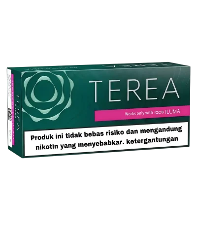 TEREA Black Green Indonesia premium heated tobacco sticks for IQOS ILUMA in Dubai UAE