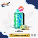 Vozol Rave 40000 Puffs Melon Bubblegum Disposable Vape