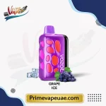 Vozol Rave 40000 Puffs Grape Ice Disposable Vape