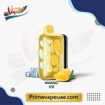Vozol Rave 40000 Puffs Mango Ice Disposable Vape