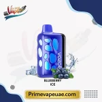 Vozol Rave 40000 Puffs Blueberry Ice Disposable Vape
