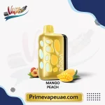 Vozol Rave 40000 Puffs Mango Peach Disposable Vape