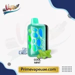 Vozol Rave 40000 Puffs Cool Mint Disposable Vape