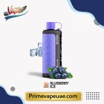 Vozol Gear Hookah 40000 Puffs Blueberry Ice Disposable Vape UAE