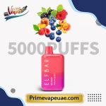 ELFBAR BC5000 Peach Berry Vape Dubai UAE