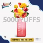 ELFBAR BC5000 Disposable Vape - Image 22
