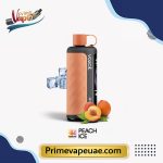 Vozol Gear Hookah 40000 Puffs Peach Ice Disposable Vape UAE