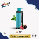 Vozol Gear Hookah 40000 Puffs Berry Mint Disposable Vape UAE