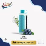 Vozol Gear Hookah 40000 Puffs Blue Mojito Disposable Vape UAE