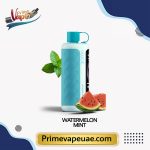 Vozol Gear Hookah 40000 Puffs Watermelon Mint Disposable Vape UAE