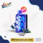 Vozol Rave 40000 Puffs Blueberry Storm Disposable Vape