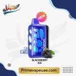 Vozol Rave 40000 Puffs Blackberry Ice Disposable Vape