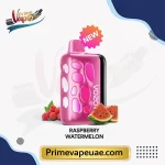 Vozol Rave 40000 Puffs Raspberry Watermelon Disposable Vape