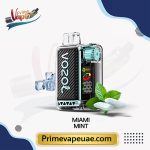 Vozol Vista 20000 Puffs Miami Mint Disposable Vape UAE