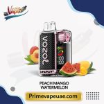 Vozol Vista 20000 Puffs Peach Mango Watermelon Disposable Vape UAE